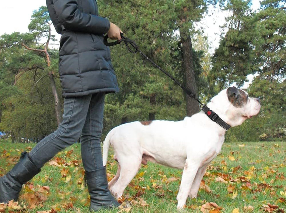 Correa para perros con mango reflectante