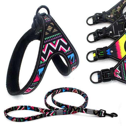 Colorful Dog Leash