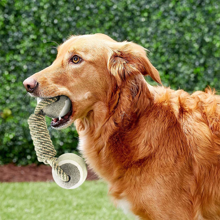 Juguetes para perros grandes y pequeños