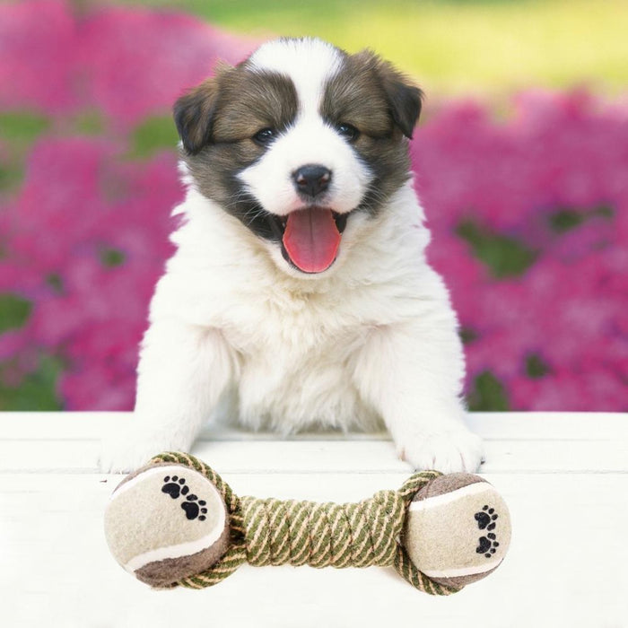 Dog Toys For Large Small Dogs