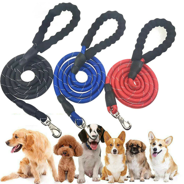 Dogs Leash with Reflective Handle