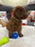 Adrian (Toy Poodle)