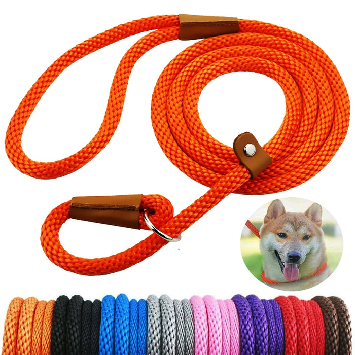 Durable Nylon Slip Rope Leash