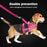 Reflective Adjustable Dog Harness Vest