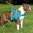 Reflective Adjustable Dog Harness Vest