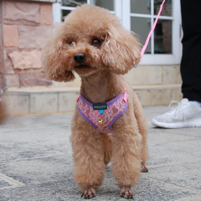 Dog Cat Lace Harness Vest