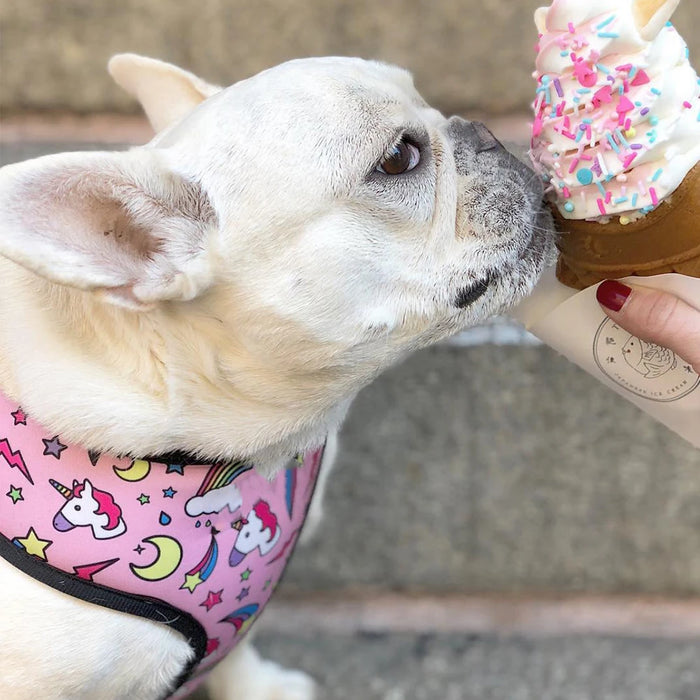 Arnés antitirones para perros pequeños Pug