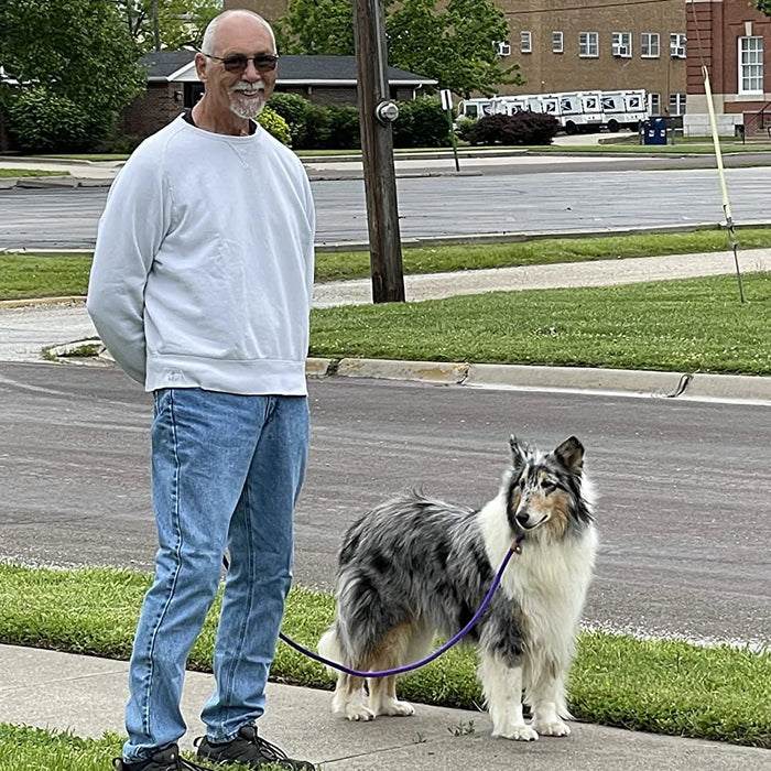 Durable Nylon Slip Rope Leash