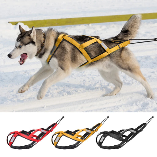 Dog Sled Harness