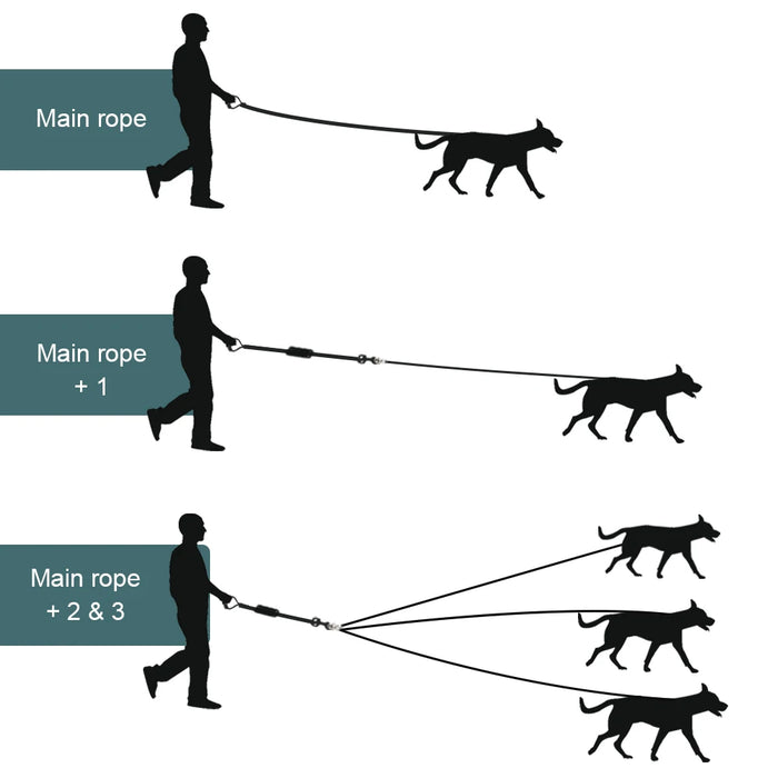 Correa de nailon para perros