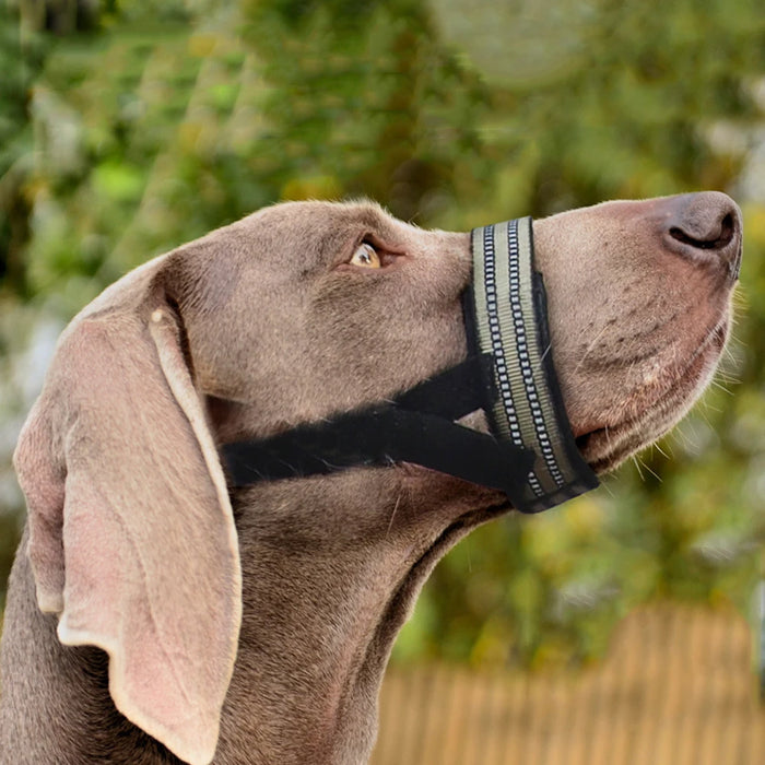 Reflective Tactical Muzzles