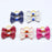 Multicolor Bow  Tie