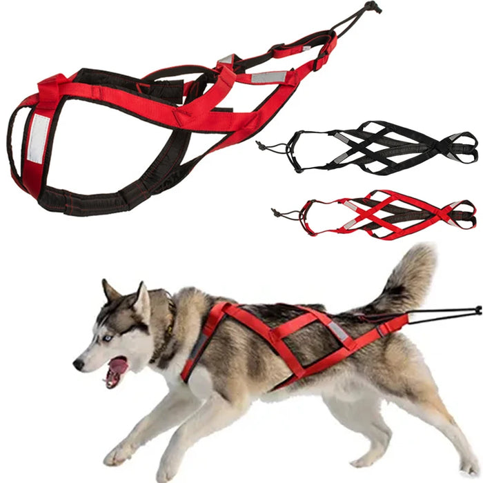 Adjustable Reflective Harness Vest for Dogs