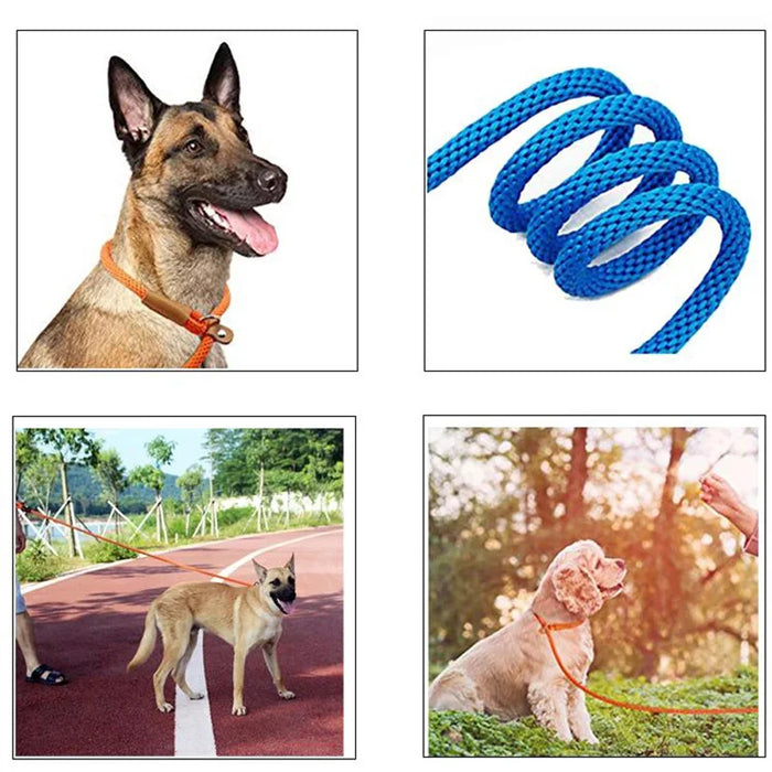 Durable Nylon Slip Rope Leash