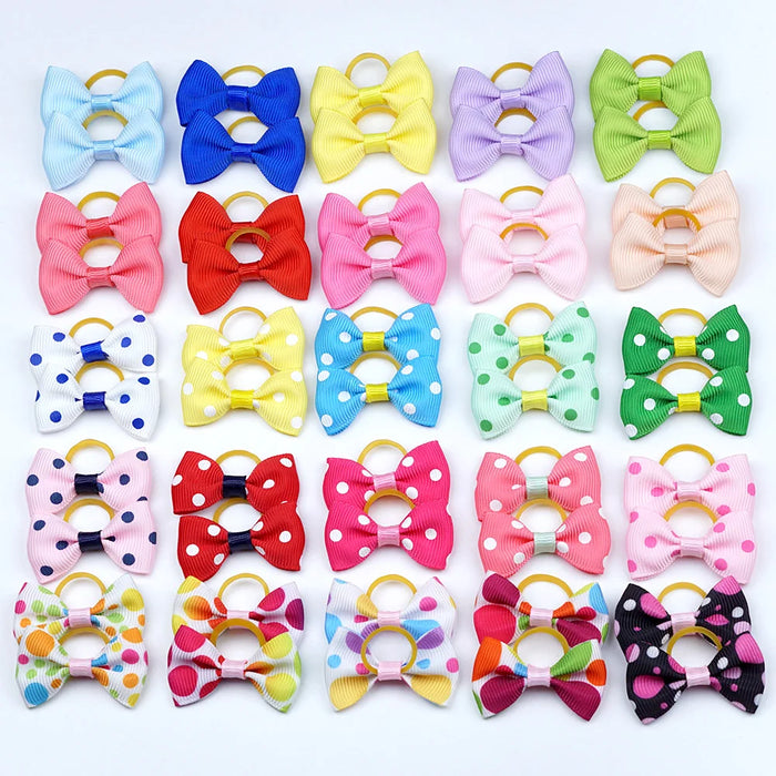 Multicolor Bow  Tie