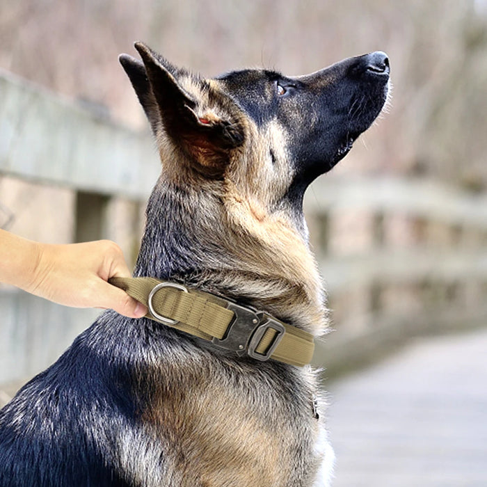 Collar táctico militar para perros