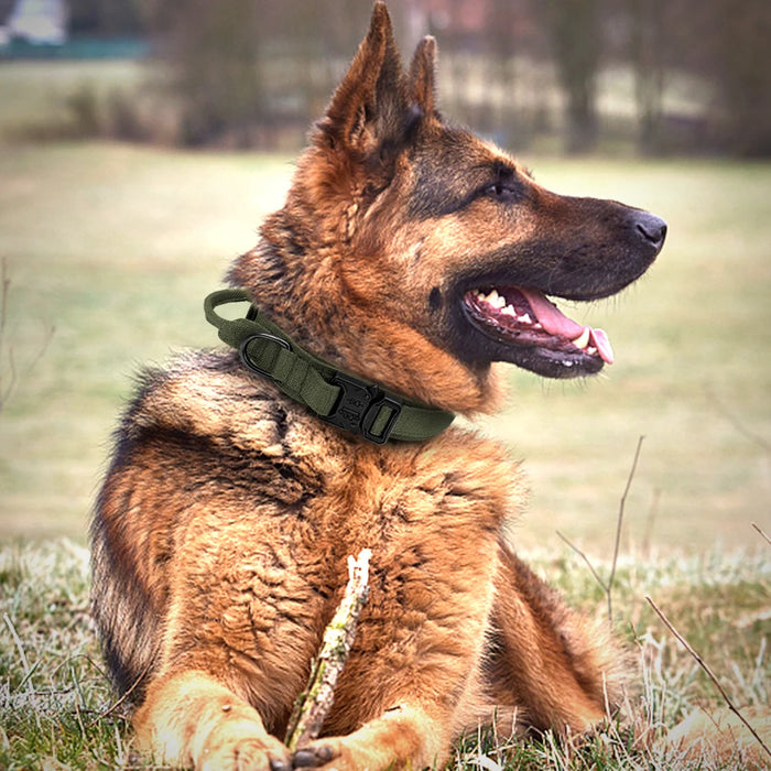 Collar táctico militar para perros