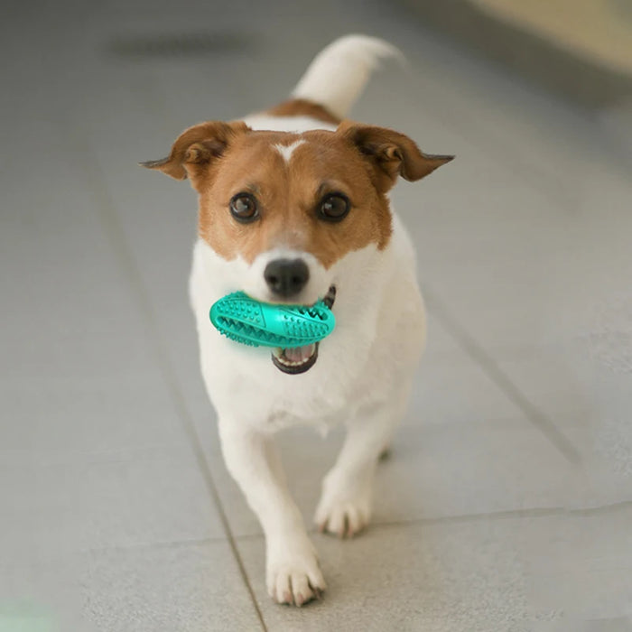 Juguete para masticar con forma de pelota de goma