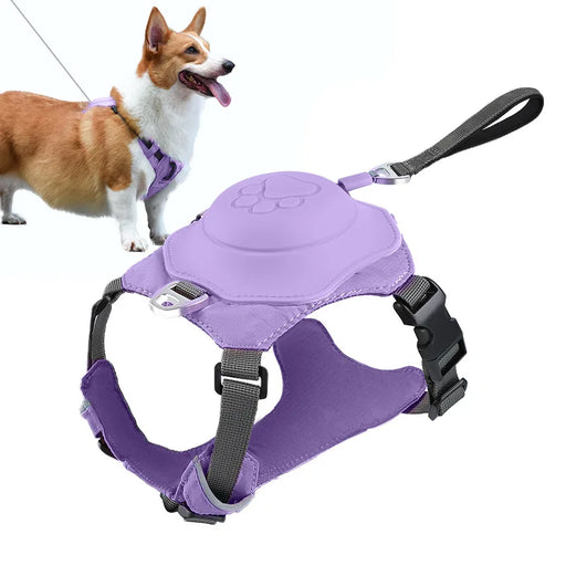 Small Sized 2-in-1 Reflective Dog Harness