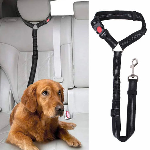 Correa para cinturón de seguridad de coche para perros