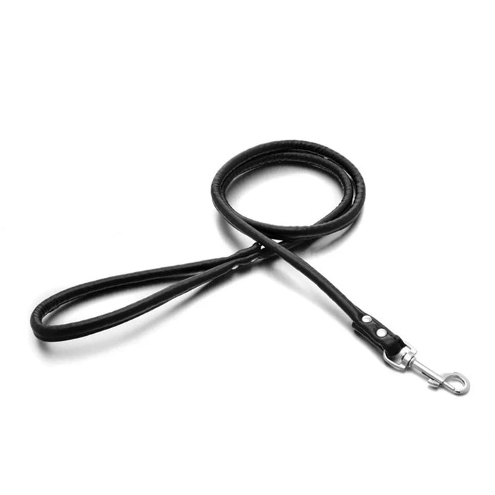 Leather Leash