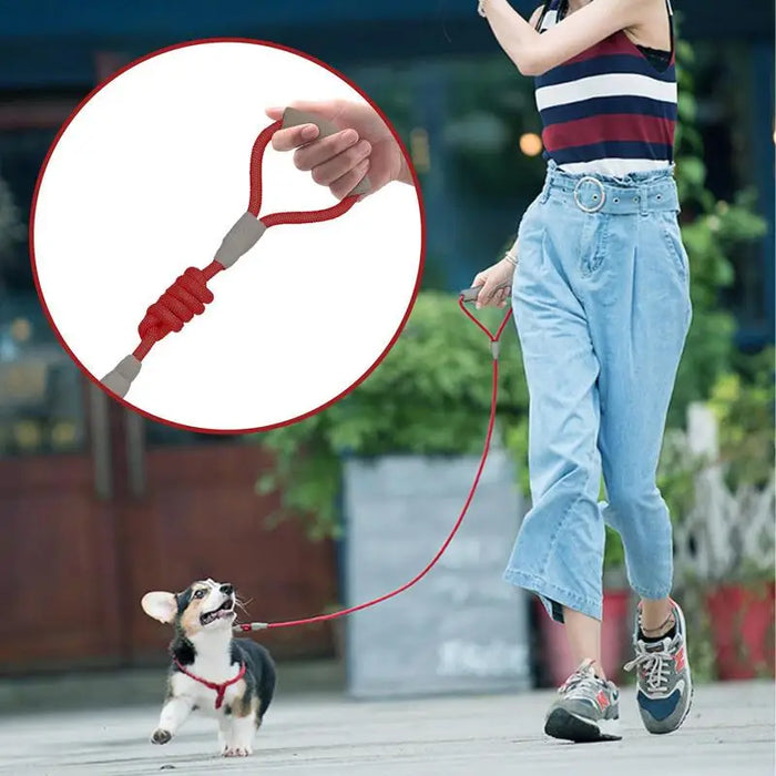 Dog Leash 360 Degree Rotatable