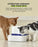 Wireless Pump & Human Grade Filtration Bowl for Dogs and Cats