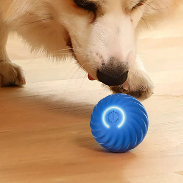 Pelota de juguete inteligente para perros