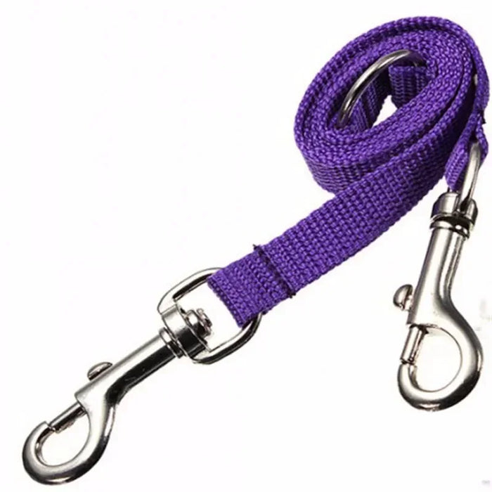 Two Dogs Leash