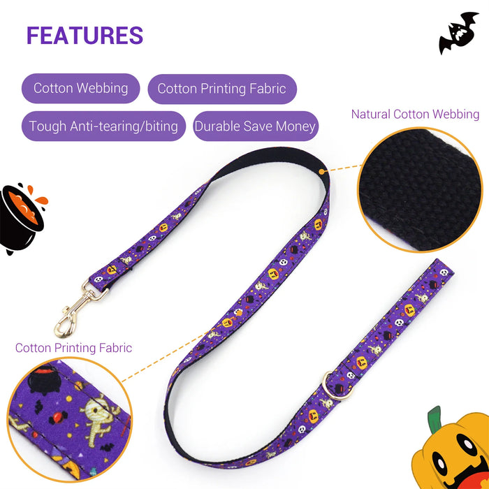 Halloween Pumpkin Paws Collar