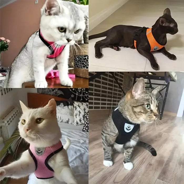 Breathable Mesh Cat Small Dog Harness and Leash