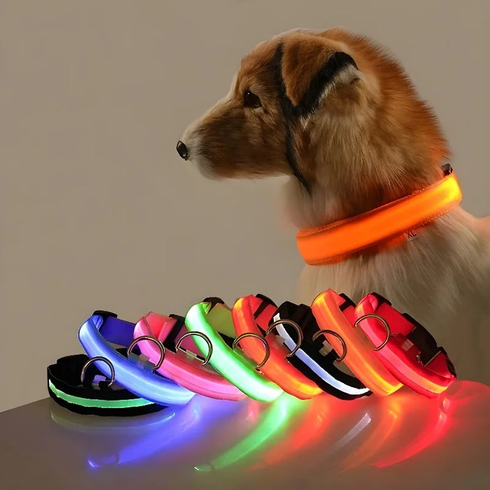 Fright Night Glow Leash