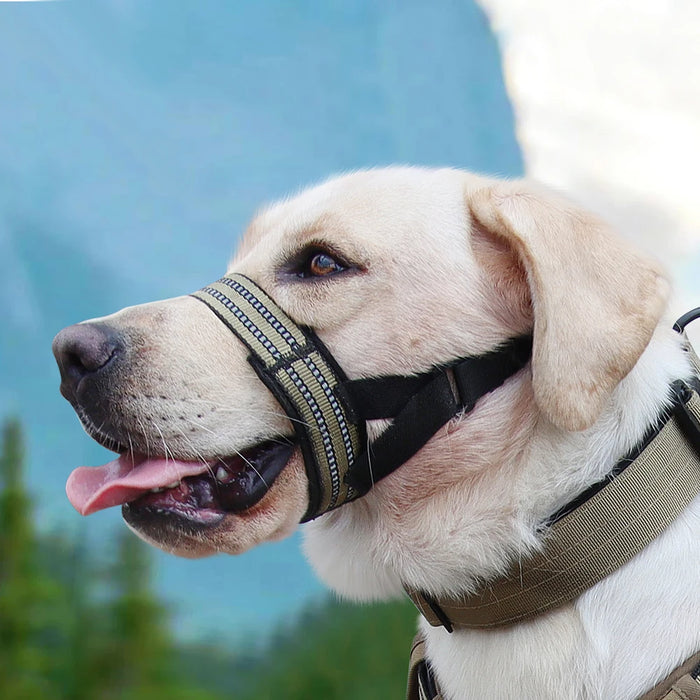 Reflective Tactical Muzzles