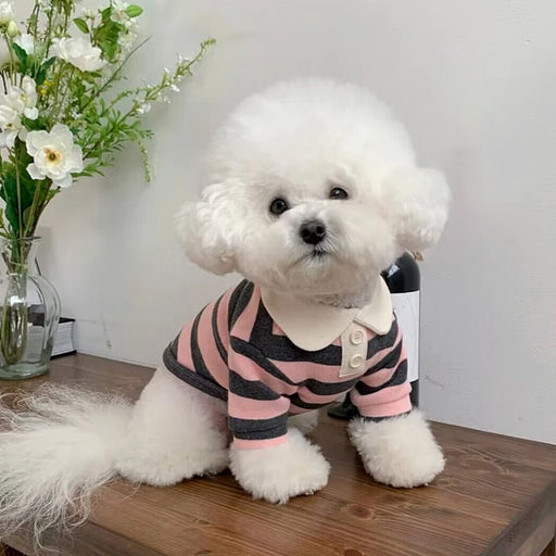 Stylish Bowtie Poodle