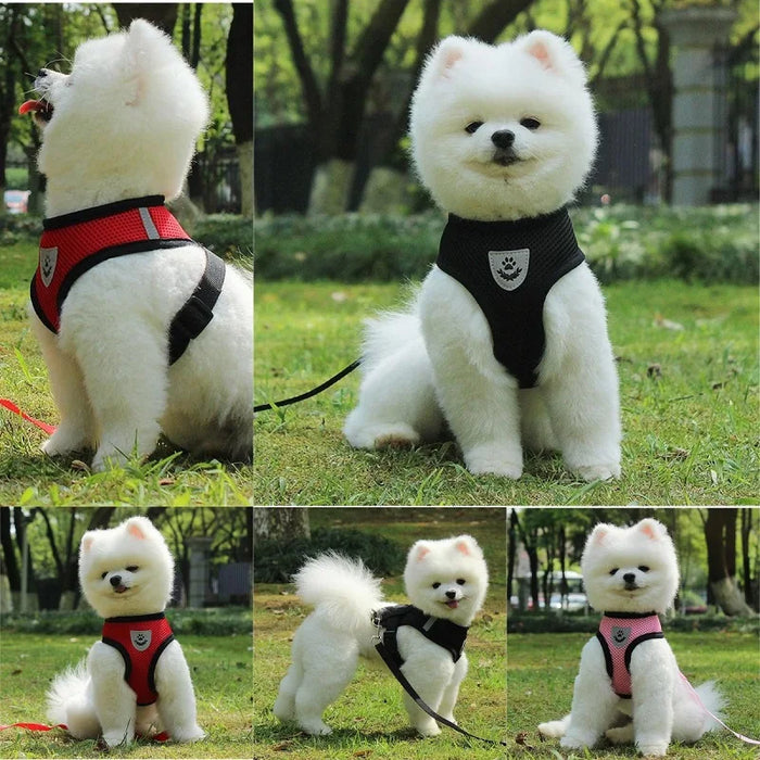 Breathable Mesh Cat Small Dog Harness and Leash