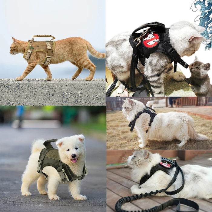 Tactical Cat Harness for Small Dog