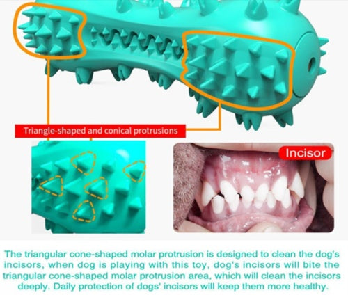 Juguetes para masticar para limpieza de perros